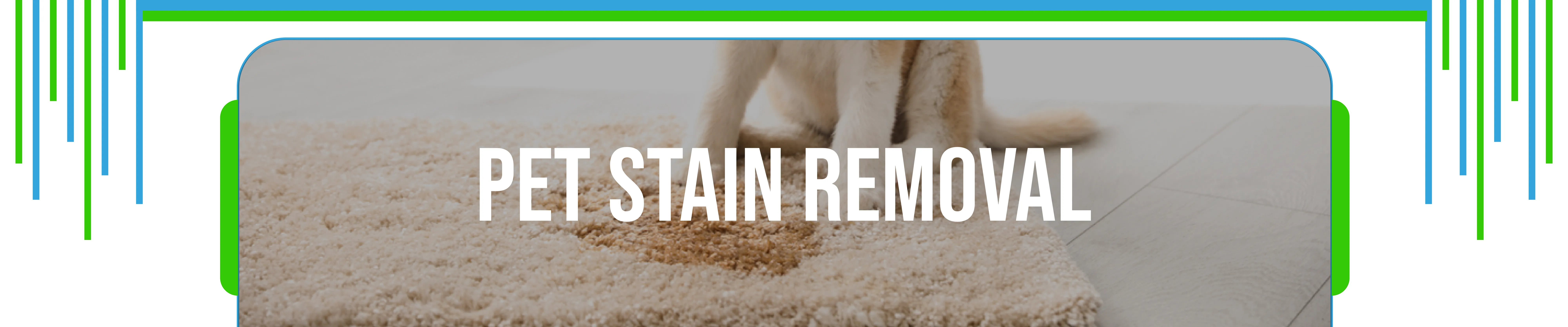 carpet cleaning in NYC, carpet cleaning in new york, carpet cleaning NYC, carpet cleaners in NYC, carpet cleaners in new york, commercial carpet cleaning, commercial carpet cleaning in NYC, NYC rug cleaners, rug cleaning services in NYC, same day carpet cleaning, same day rug cleaning